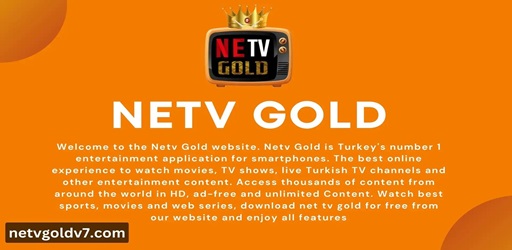 NeTV Gold V9